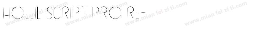 Hollie Script Pro Re字体转换